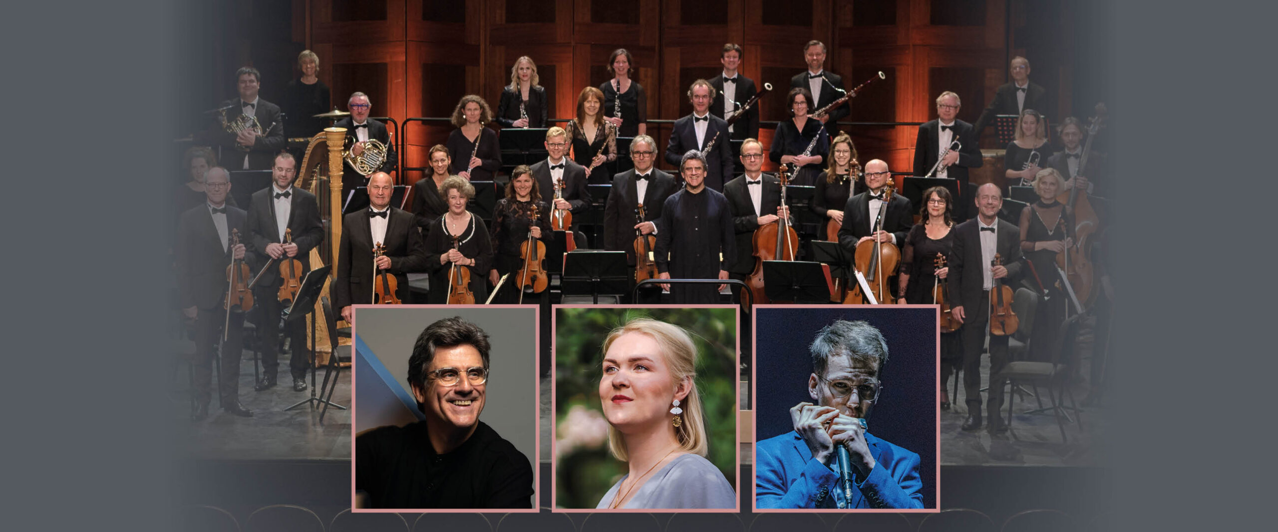 Website Slider Concertevents8
